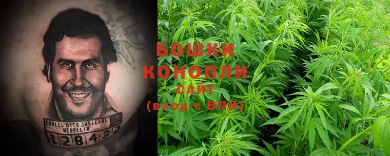 как найти закладки  Кисловодск  Шишки марихуана White Widow 